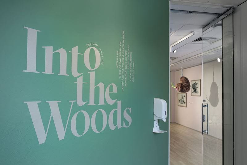 The inner entrance to Art Exchange Gallery which displays the show title "Into the Woods" with the featured artists names arranged like a tree. The door is open and artworks can be glimpsed inside the gallery.
