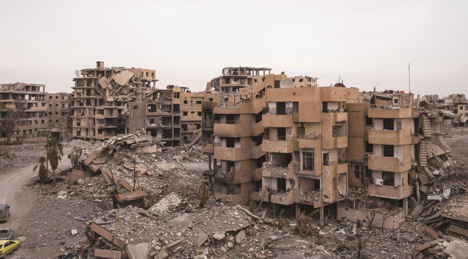 Work for leading human rights organisations like Amnesty International and the United Nations